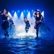 X Dans Project Hizmetler 2